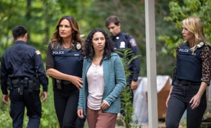 Law & Order: SVU Season 24 Episode 4 Review: The Steps We Cannot Take