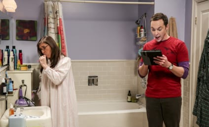 Watch The Big Bang Theory Online: Season 10 Episode 15