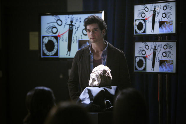 Professor Shane Picture