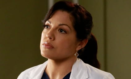 Sara Ramirez - TV Fanatic