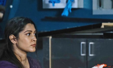The Resident Photos - Page 4 - TV Fanatic