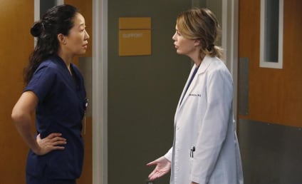 Grey's Anatomy Round Table: "Sorry Seems to Be the Hardest Word"