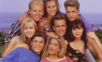 Beverly Hills 90210 Cast: Where Are They Now?