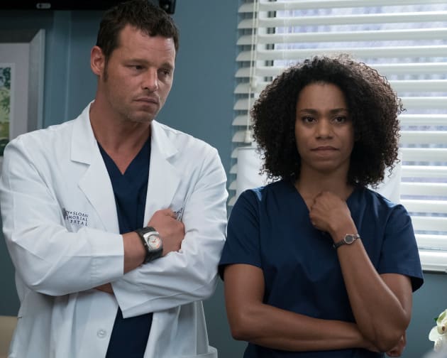 Greys anatomy stream season 14 on sale