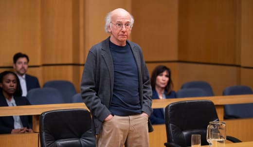 Larry David in court 