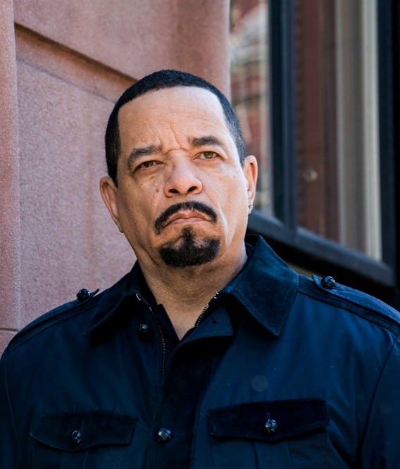 Fin Takes a Case - Law & Order: SVU Season 20 Episode 23