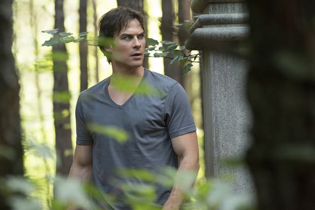 Lost in the woods the vampire diaries s7e2