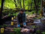 The Mushroom Killer