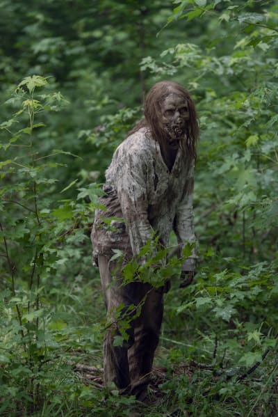 The walking dead season hot sale 10 episode 8 full episode