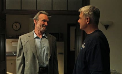 Muse Watson (Mike Franks) to Return on NCIS Premiere