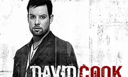 First Look: The David Cook Album Cover