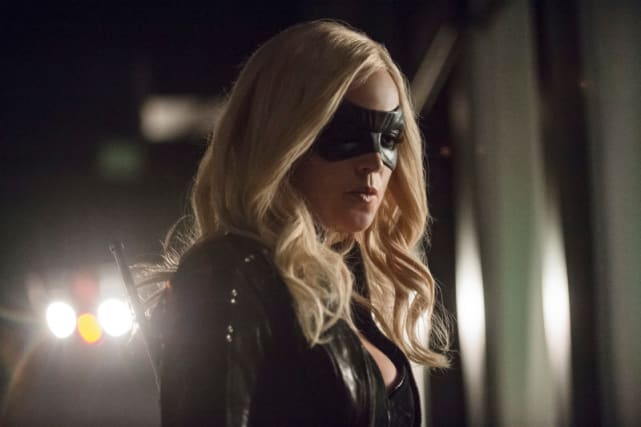 Canary Portrait
