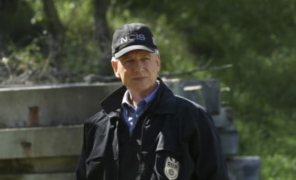 TV Ratings Report: Did NCIS Recover From Series Lows?