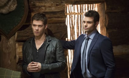 The Originals Season 2 Episode 11 Review: Brotherhood of the Damned
