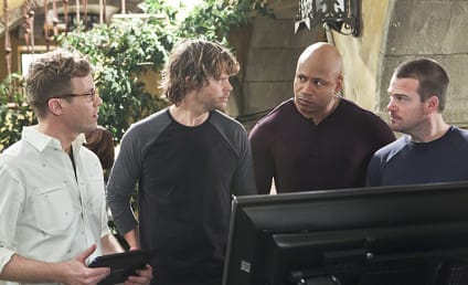 NCIS: Los Angeles Review: In Danger