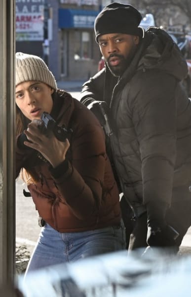 Chicago pd season 5 episode 17 watch hot sale online free