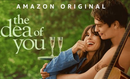 The Idea of You: Do the Changes From the Book Hurt or Help the Movie?