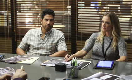 Criminal minds online season 1 hot sale