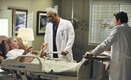Discuss "Perfect Little Accident" in Our Grey's Anatomy Forum!