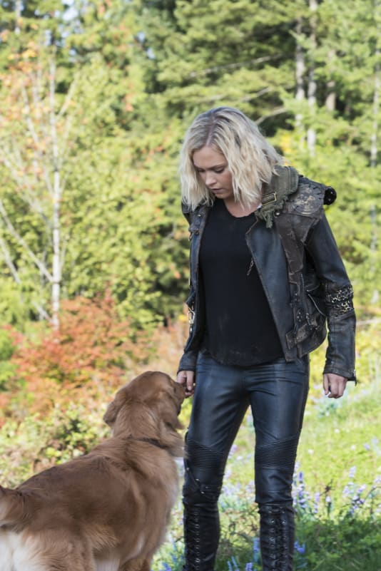 Watch the 100 cheap s6e3