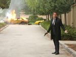 T. DiNozzo