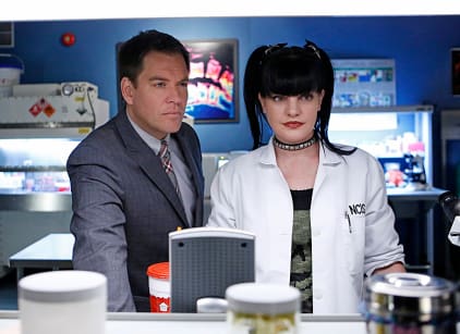 Ncis Season 11 Episode 14 Tv Fanatic When ncis returns for its 18th season, it will be back in its tuesday night at 8 p.m. ncis season 11 episode 14 tv fanatic