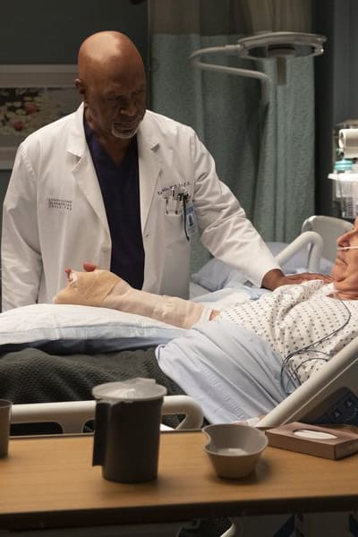 Grey s Anatomy Season 15 Episode 3 TV Fanatic