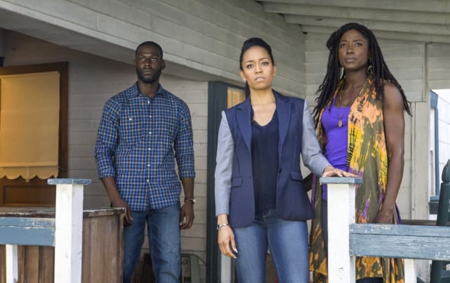 More to the story queen sugar