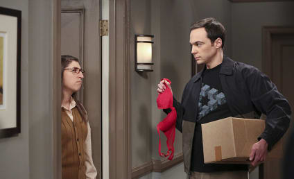 Watch The Big Bang Theory Online: Season 9 Episode 2