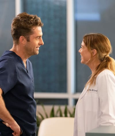 Privileges for Marsh -tall - Grey's Anatomy Season 18 Episode 10