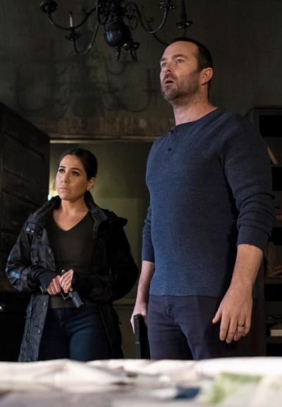 Blindspot season top 5 online