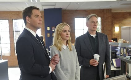 NCIS Round Table: Ego Central
