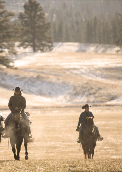 Watch Yellowstone Online Season 4 Episode 10 Tv Fanatic