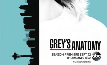 Grey's Anatomy Spoilers: Look Who's Getting a Love Interest!