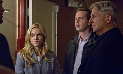 NCIS Photo Gallery: Rocking the Target