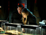 The Kidnapping - CSI