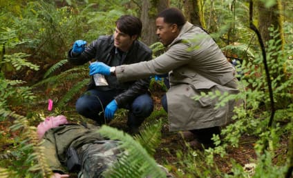 Grimm Review: Warm and Fuzzy