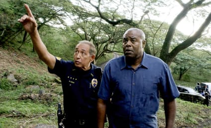 Hawaii Five-0 Season 5 Episode 20 Review: Instinct