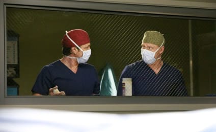 Grey's Anatomy Season 13 Episode 12 Review:  None of Your Business