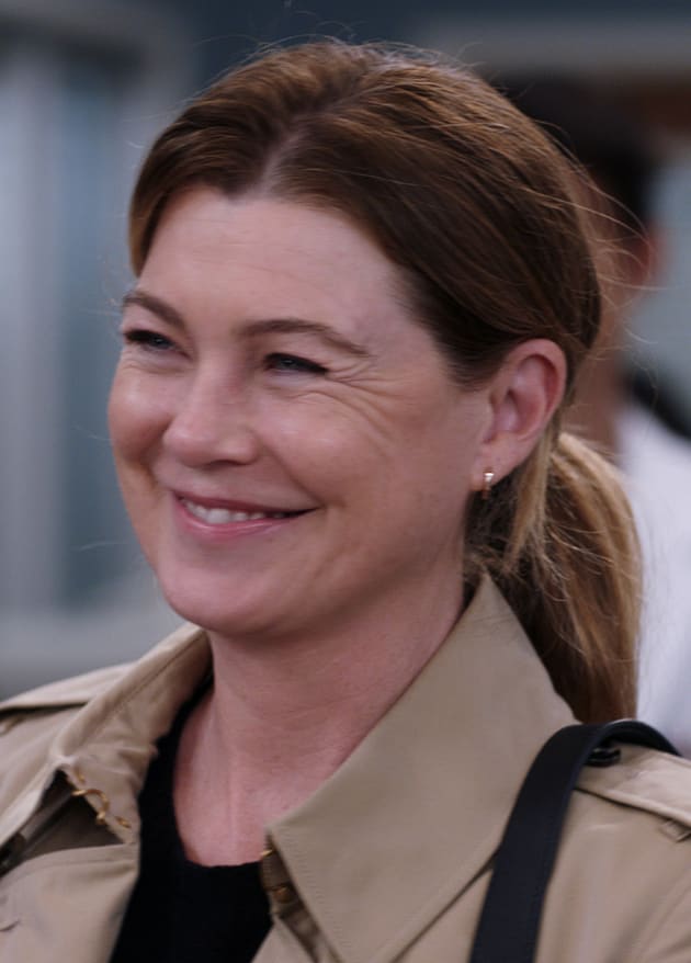 Saying Farewell - Grey's Anatomy Season 19 Episode 7 - TV Fanatic