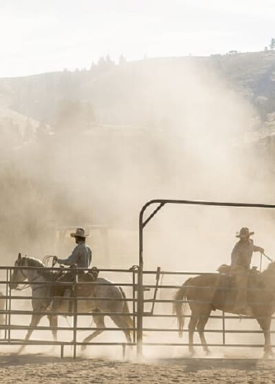 Hard-Working Cowboys - Yellowstone Season 5 Episode 7