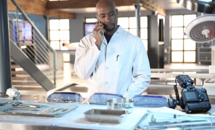 Rosewood Season 1 Episode 16 Review: Dead Drops & Disentanglement