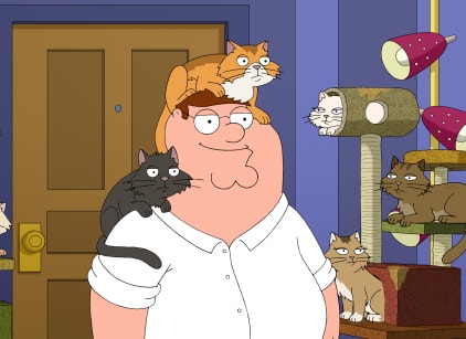 Family guy season outlet 18 online