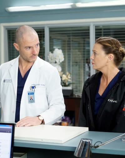 Cristina's Gift - Tall  - Grey's Anatomy Season 16 Episode 10