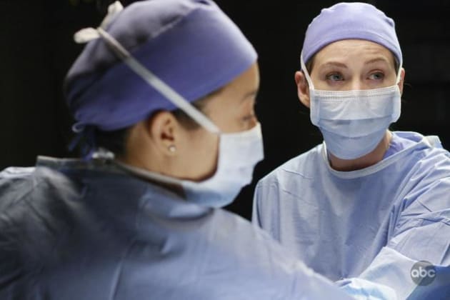 Cristina and Meredith Picture