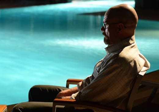 breaking bad bear in pool