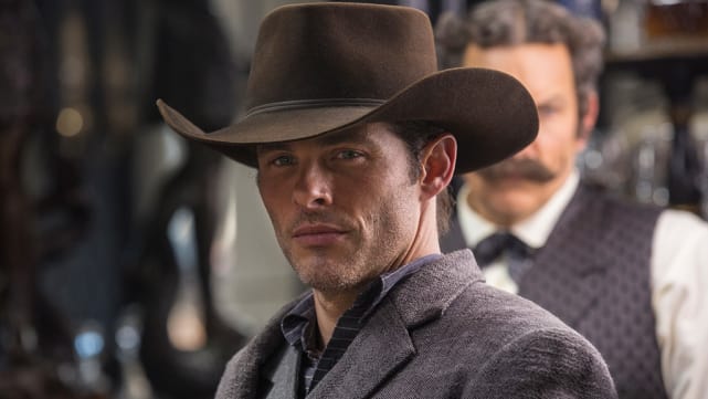 Teddy Flood - Westworld