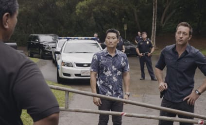 Hawaii Five-0 Season 7 Episode 14 Review: Line in the Sand