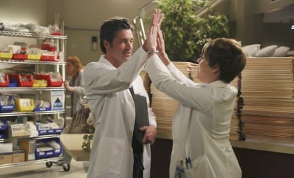 Grey's Anatomy Season 10 Spoilers: Taking Ownership, Striking a Balance