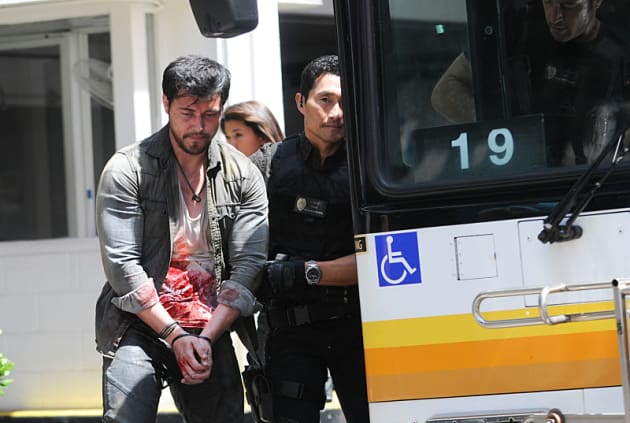 Hawaii Five 0 Season 6 Episode 24 Tv Fanatic Mcgarrett and his team take on cases including a murder that leads to a centuries old lost pirate treasure, a copycat arsonist calling for the release of a murderous prisoner. hawaii five 0 season 6 episode 24 tv